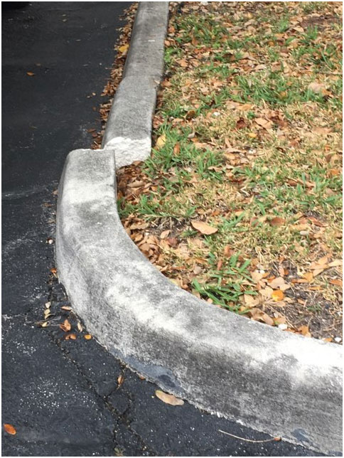 Cement Curbing